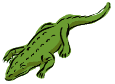 alligator.gif (10758 bytes)